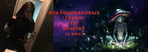 ECSTASY Пролетарск