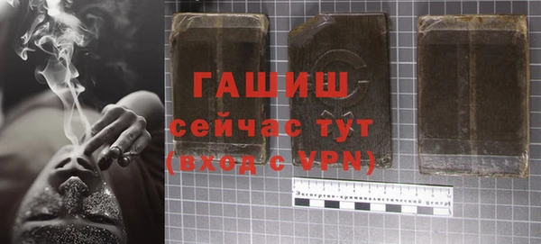 сатива Ростов